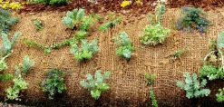 AQUAGART - 25 m filet anti-érosion en fibre de coco 1 m de large, film pour bassin de jardin, natte en fibre de coco 750 g