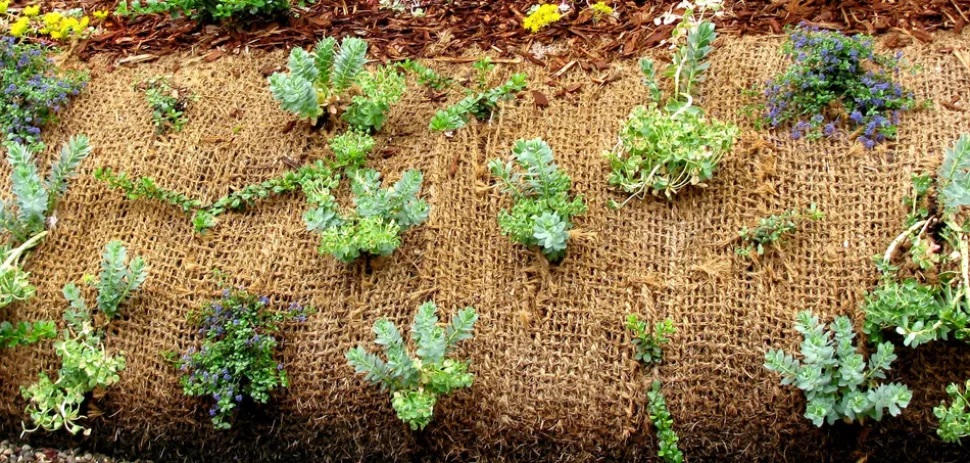 AQUAGART - 44 m filet anti-érosion en fibre de coco 1 m de large, film pour bassin de jardin, natte en fibre de coco 750 g