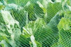 AQUAGART - Filet de bassin 5 m x 12 m, filet à feuilles, filet de silo, filet de protection contre les feuilles