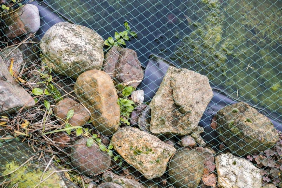 AQUAGART - Filet de bassin 13 m x 6 m filet à feuilles, filet, filet de protection contre les oiseaux, robuste