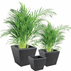 AUBRY GASPARD - Cache-pots en résine tressée (lot de 3) carré