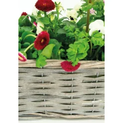 AUBRY GASPARD - Jardinière en osier et bois 50 x 16 x 15 cm