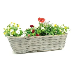 AUBRY GASPARD - Jardinière en osier et bois 50 x 16 x 15 cm