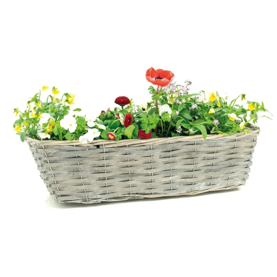 AUBRY GASPARD - Jardinière en osier et bois 50 x 16 x 15 cm
