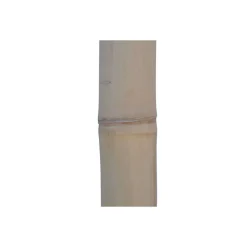 BAMBUSA - Tronçon de bambou naturel sec beige - D.4xL200 cm