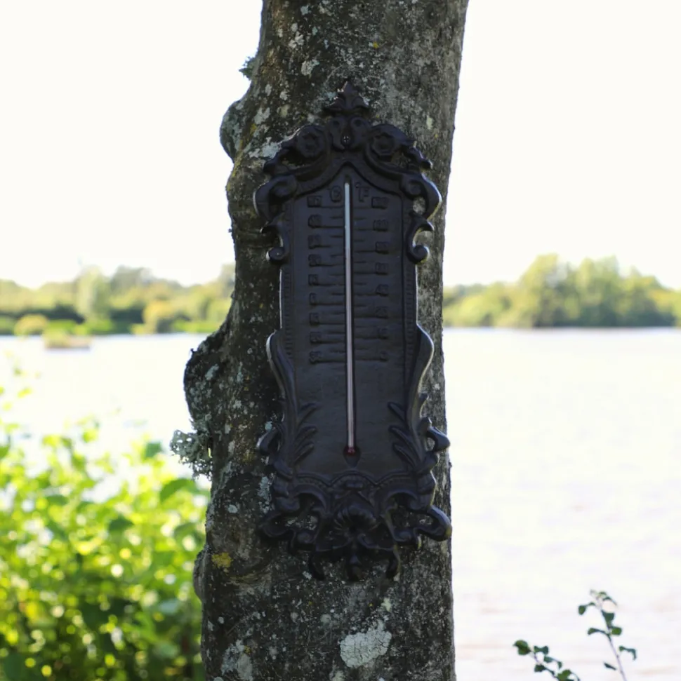 CHEMIN DE CAMPAGNE - Grand thermomètre extérieur décoratif vintage fonte marron 37cm