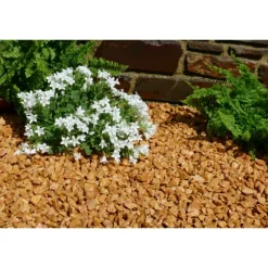 CLASSGARDEN - Gravier jaune saumon 10-15 pack de 5 m² - 10 sacs - 200 kg