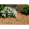 CLASSGARDEN - Gravier jaune saumon 10-15 pack de 5 m² - 50 sacs - 1000 kg