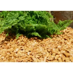 CLASSGARDEN - Gravier jaune saumon 10-15 pack de 5 m² - 30 sacs - 600 kg
