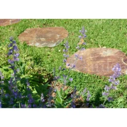 CLASSGARDEN - Pas japonais corten irrégulier - pack de 14 pièces