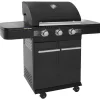 COOK IN GARDEN - Barbecue au gaz fyra avec thermomètre - 3 brûleurs
