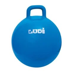 D - Ballon sauteur bleu Diam 45cm