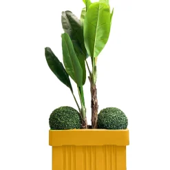 DARE WIN STORE - Jardinière bella 135l