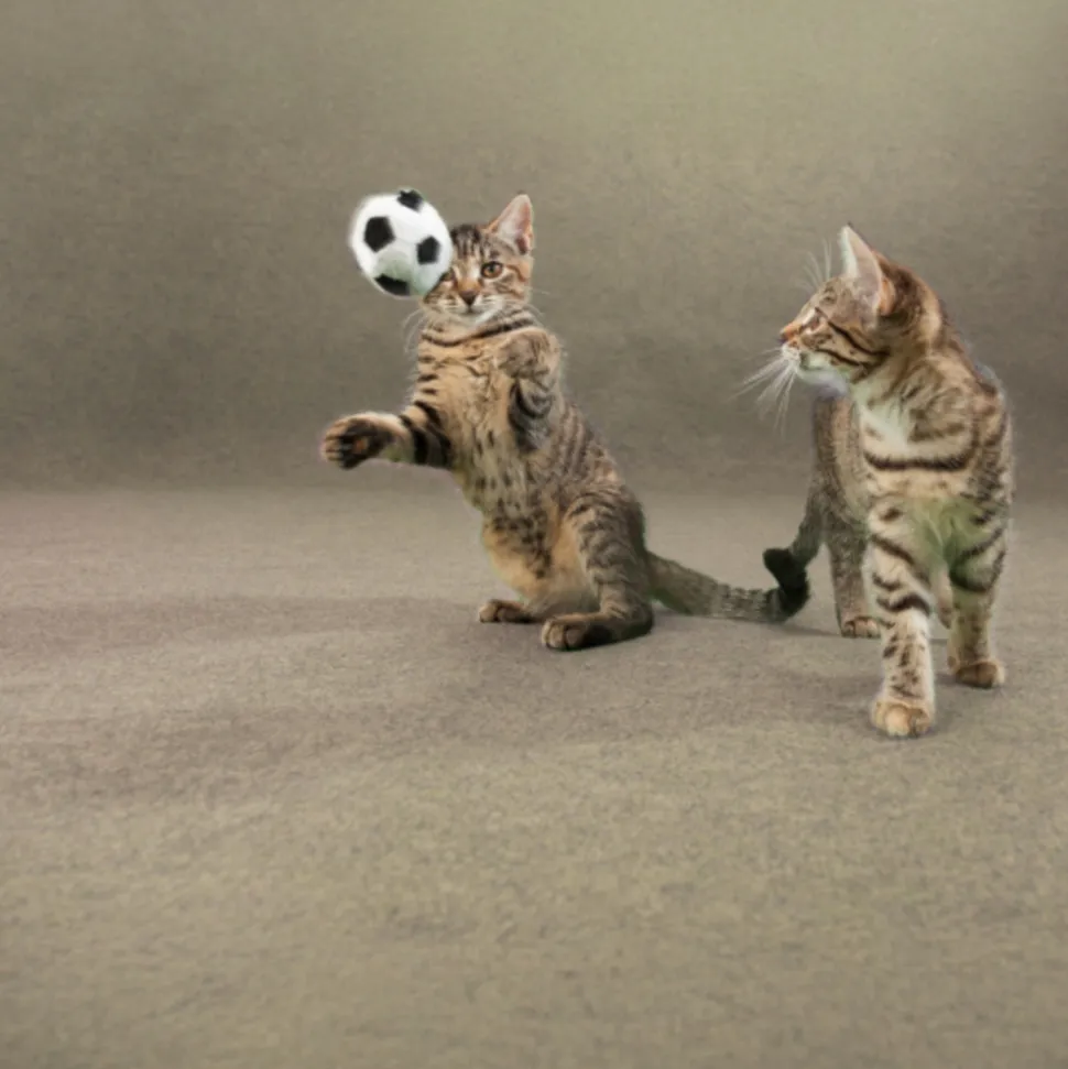 DÉCOWEB - Moquette d'extérieur sur plots - terrasse et balcon - beige sable - rouleau de 1.33m x 36m