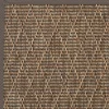 DÉCOWEB - Tapis intérieur / extérieur timika - marron camel - galon marron - 160 x 230 cm