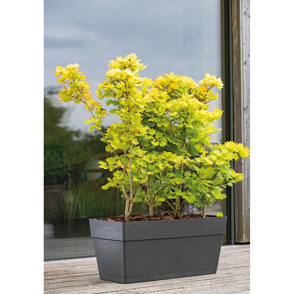 DEROMA - Muret Save R Anthracite à réserve d'eau 79 x 35 x H.35 cm