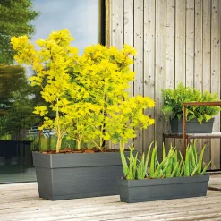 DEROMA - Muret Save R Anthracite à réserve d'eau 79 x 35 x H.35 cm