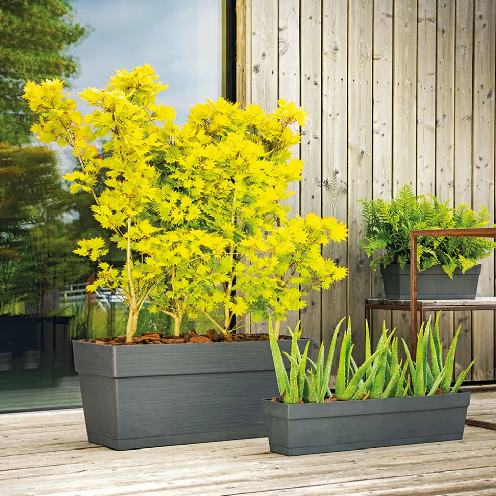 DEROMA - Muret Save R Anthracite à réserve d'eau 79 x 35 x H.35 cm