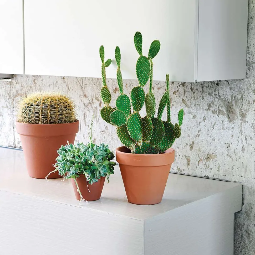 DEROMA - Pot Horticole en terre cuite Ø 21 x H. 19cm