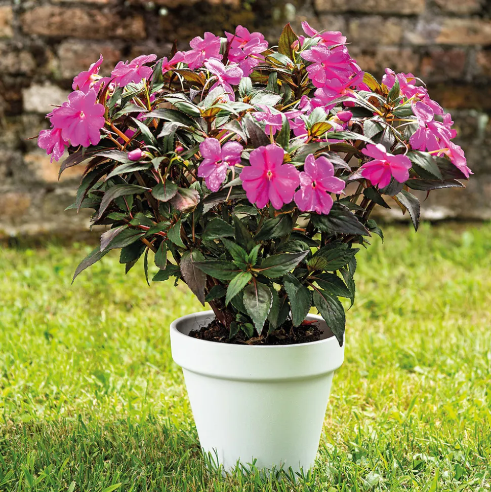 DEROMA - Pot Vaso Bigband en terre cuite émaillée Epoxy Talc - D.23cm