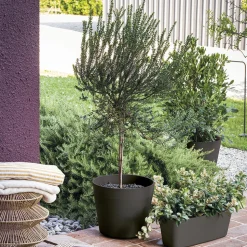 DEROMA - Pot Vaso Origin Anthracite - D.38cm