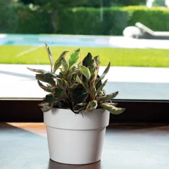 DEROMA - Pot Vaso Perfetto Bigband en terre cuite émaillée Epoxy Talc - D.29cm