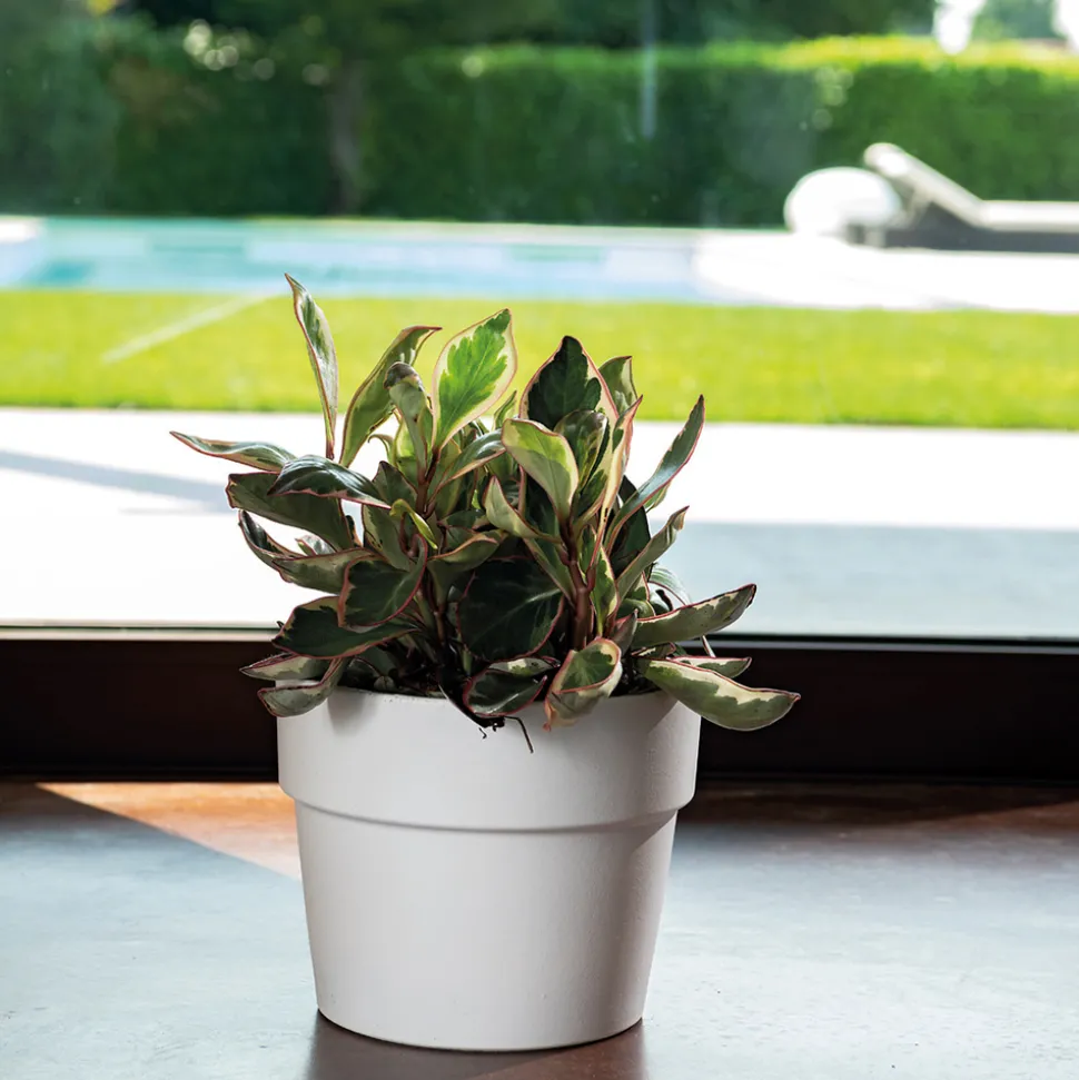 DEROMA - Pot Vaso Perfetto Bigband en terre cuite émaillée Epoxy Talc - D.29cm