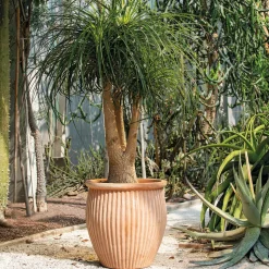 DEROMA - Vase Haut Atlas en terre cuite - H.29,5 x D.28cm