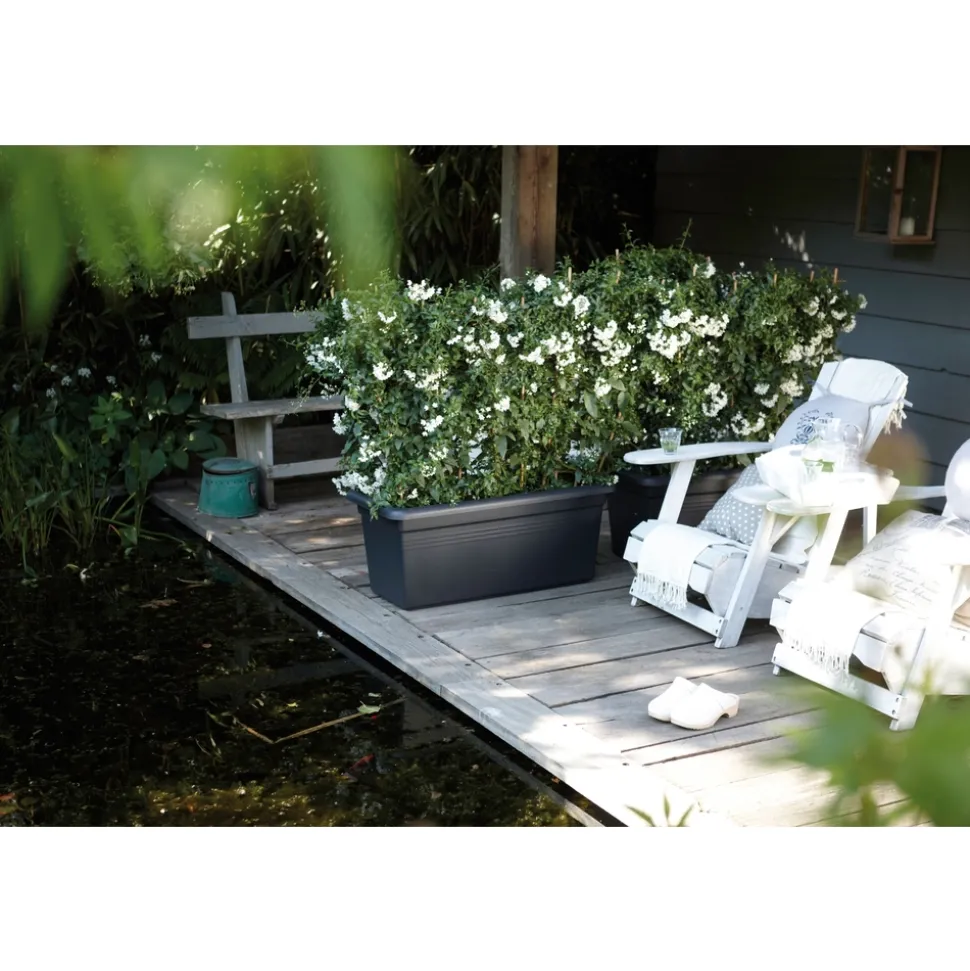 ELHO - Bac de jardin XXL "Green Basics", coloris living noir - L.58xH.26,8cm