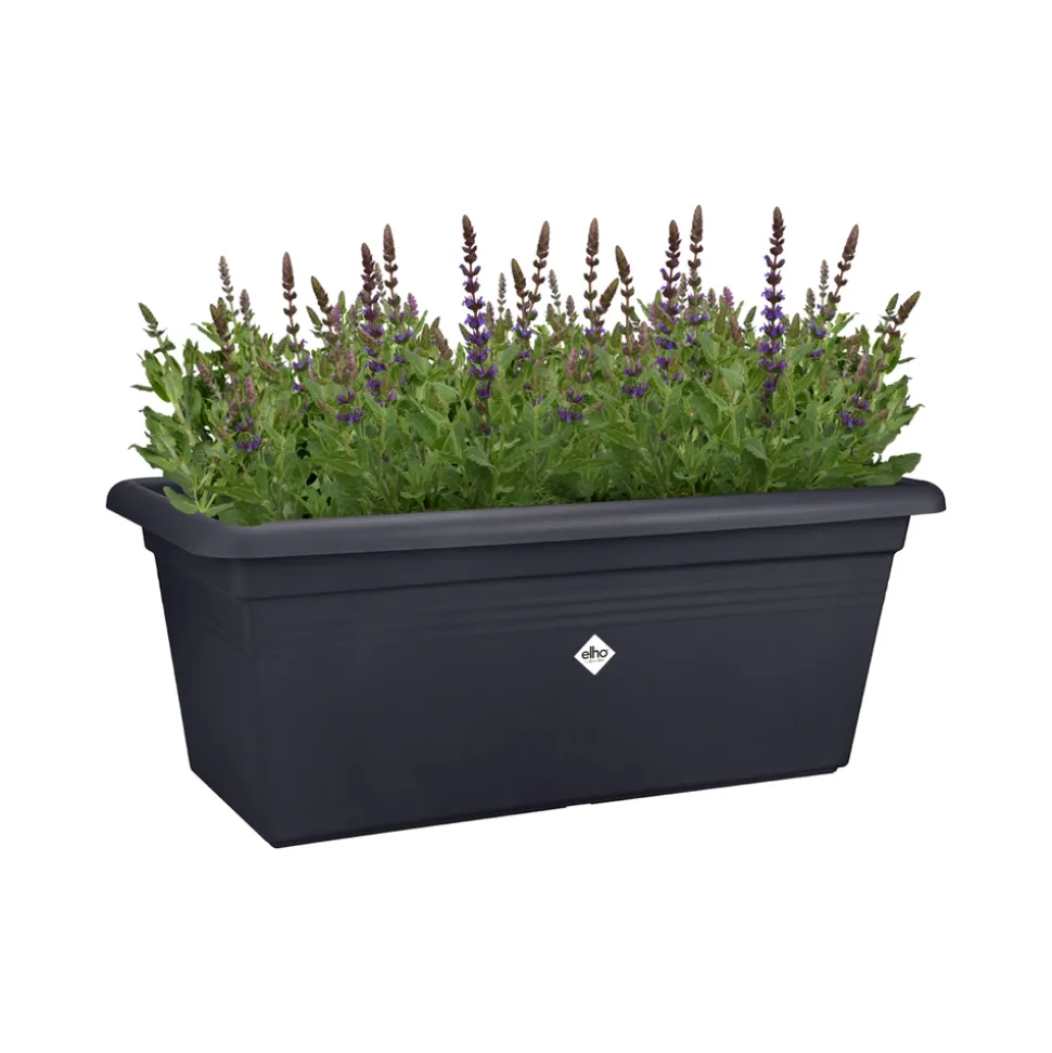 ELHO - Bac de jardin XXL "Green Basics", coloris living noir - L.58xH.26,8cm