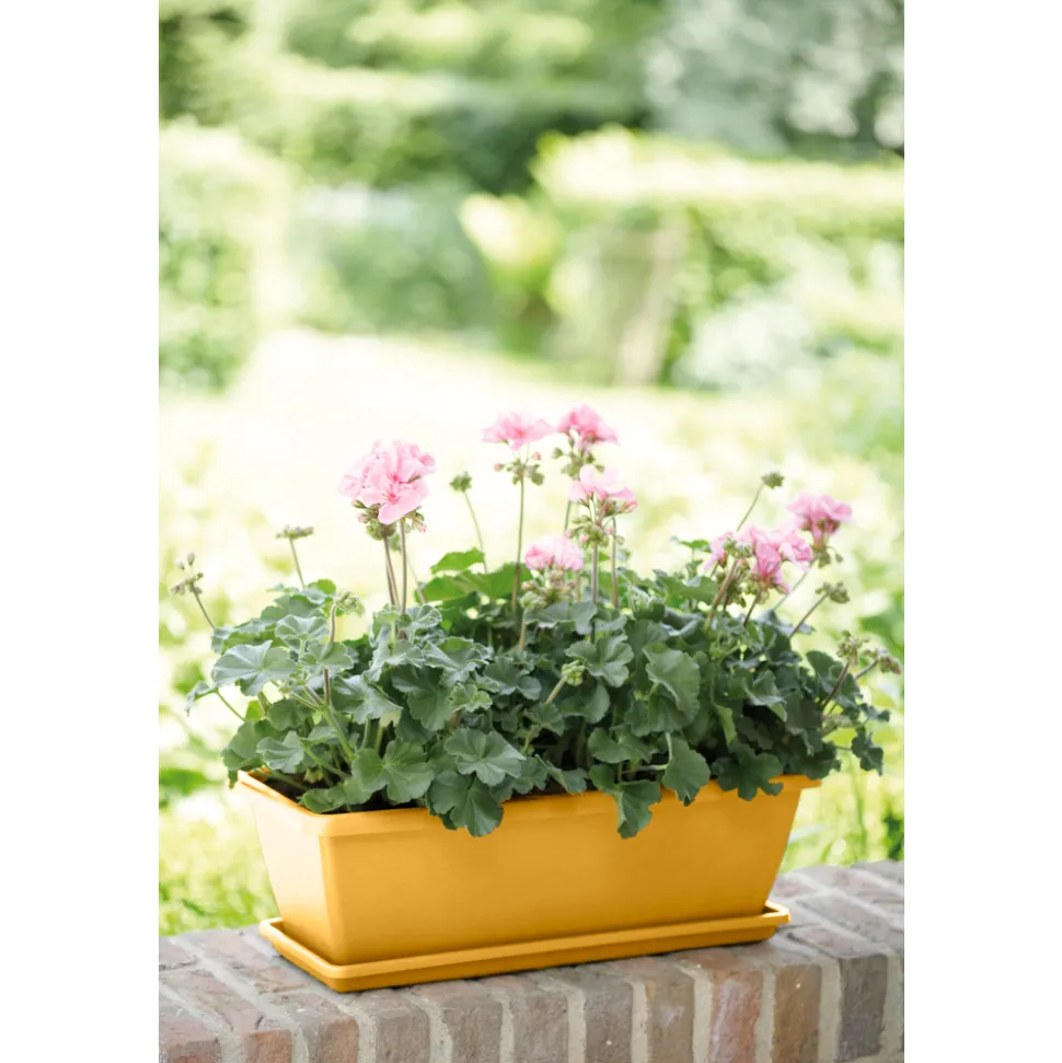 ELHO - Jardinière Barcelona 70 jaune miel - 70x19x16cm