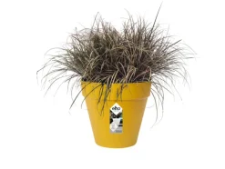 ELHO - Pot de fleurs rond loft urban - plastique - percé - réservoir - avec roulettes - ø 50 - ocre