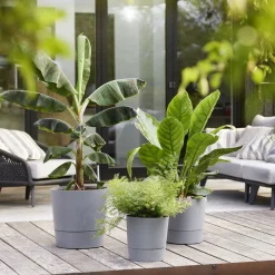 ELHO - Pot Greensense Aqua Care ciment Rond, avec Réservoir d'eau - D.43cm