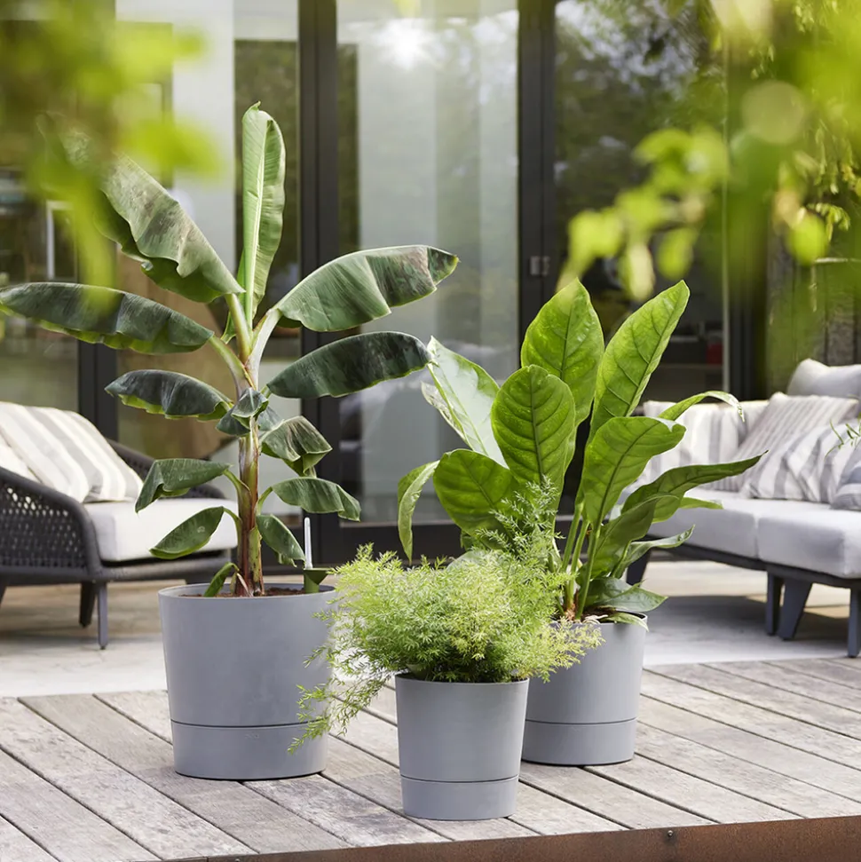 ELHO - Pot Greensense Aqua Care ciment Rond, avec Réservoir d'eau - D.43cm