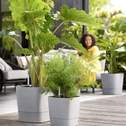 ELHO - Pot Greensense Aqua Care ciment carré, avec réservoir d'eau - L.38cm