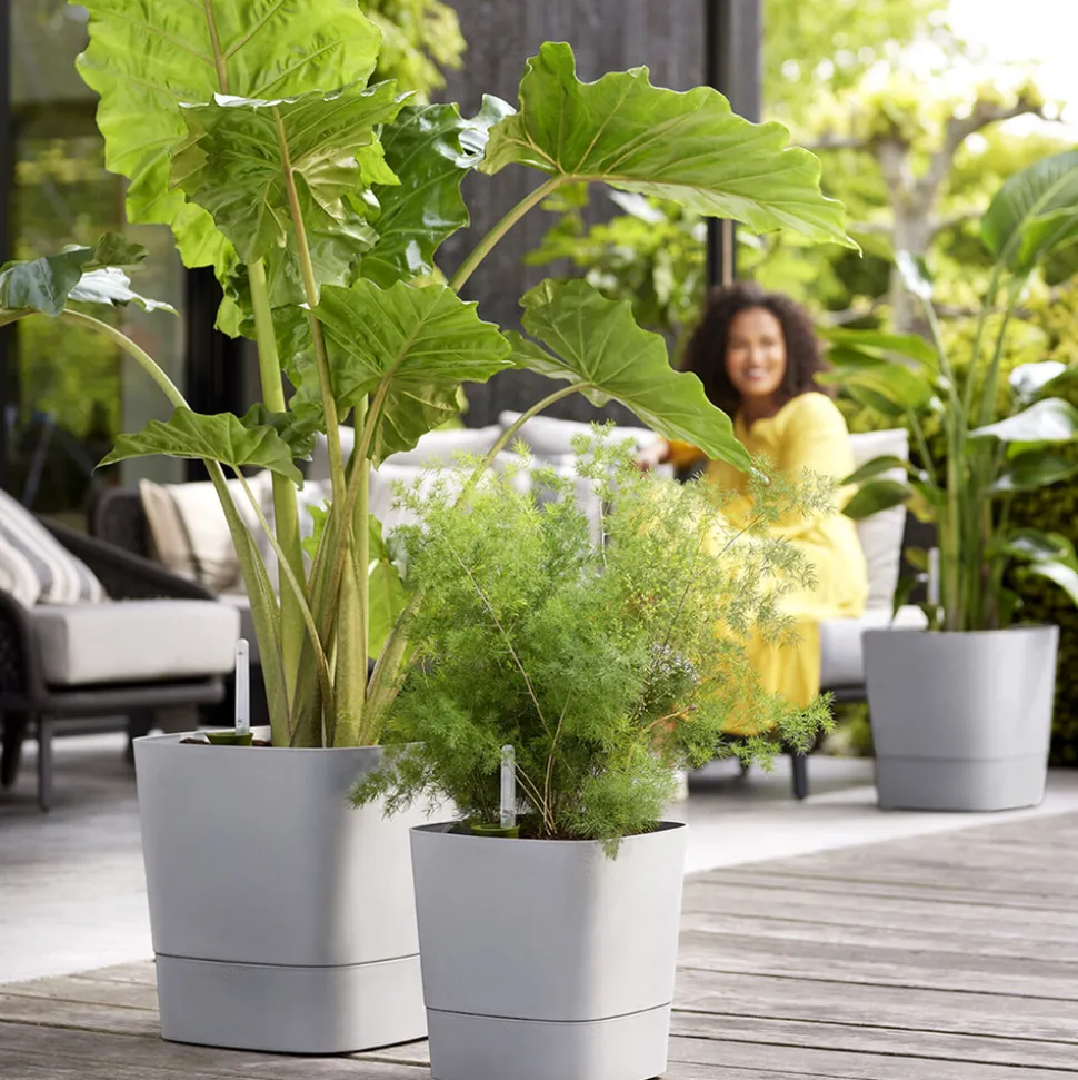 ELHO - Pot Greensense Aqua Care ciment carré, avec réservoir d'eau - L.38cm