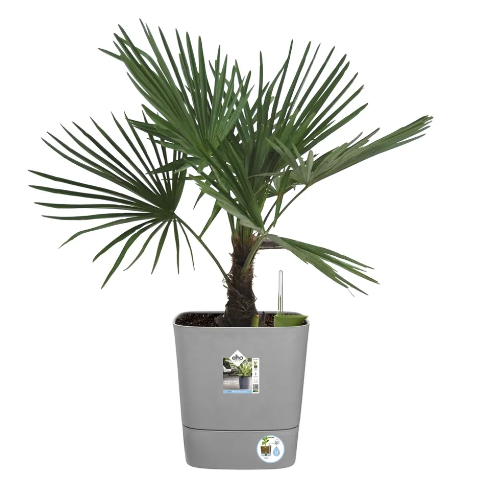 ELHO - Pot Greensense Aqua Care ciment carré, avec réservoir d'eau - L.38cm