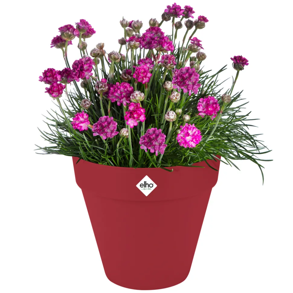 ELHO - Pot Loft rond à roulettes, coloris rouge théâtre - D.38,5xH.35,3cm
