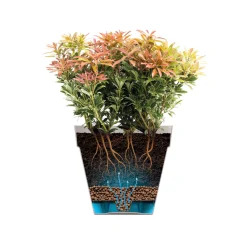 ELHO - Pot Loft rond à réserve d'eau, coloris rouge théâtre - D.24,5xH.22cm