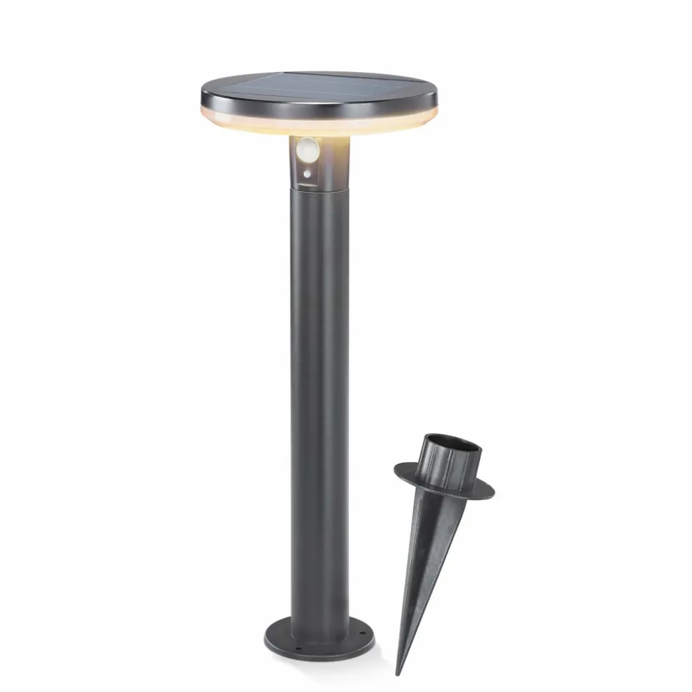 ESOTEC - Esotec lampe solaire pour l'extérieur arezzo pir lifepo4-accu résistant aux intempéries metal 102742