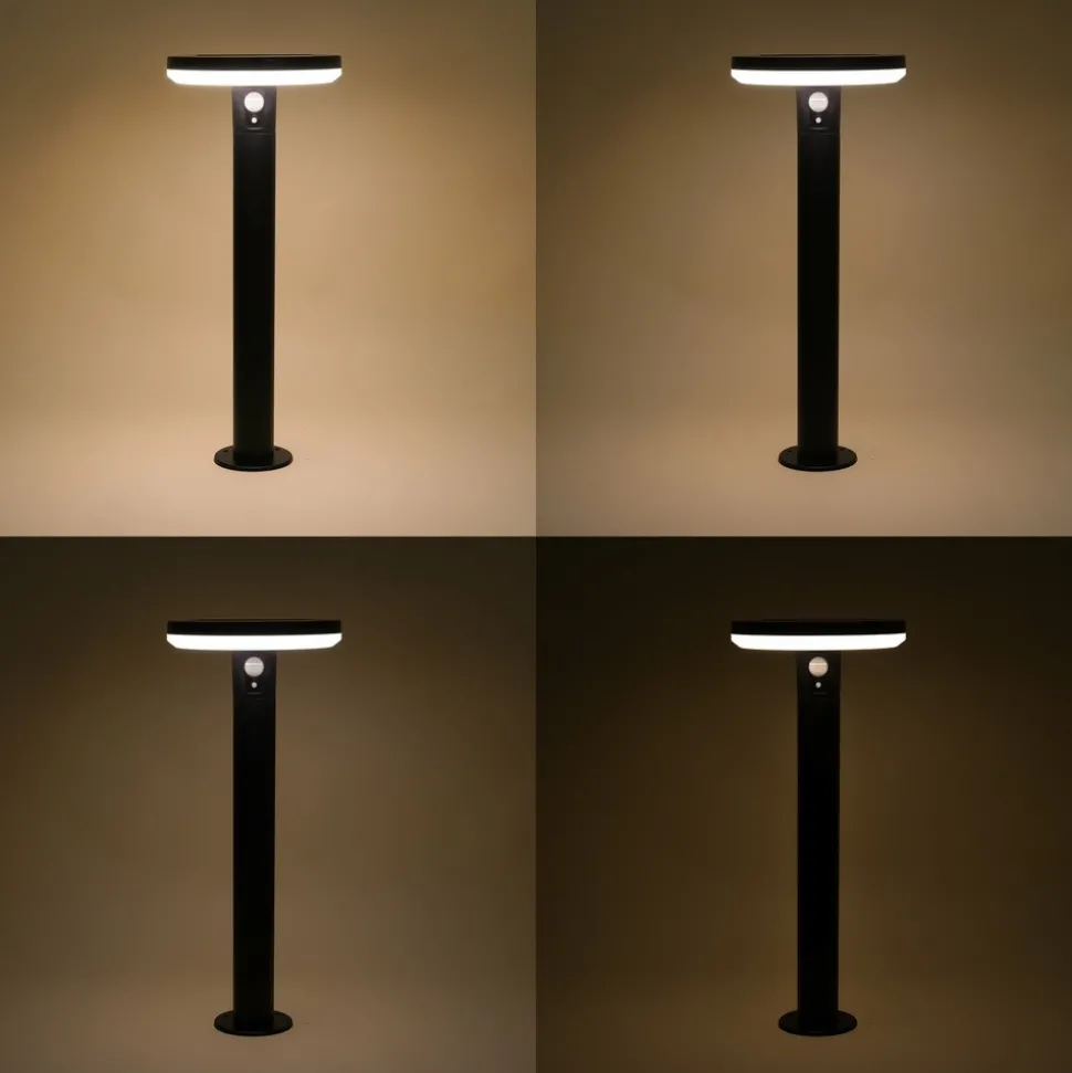 ESOTEC - Esotec lampe solaire pour l'extérieur arezzo pir lifepo4-accu résistant aux intempéries metal 102742