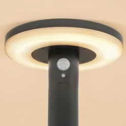 ESOTEC - Esotec lampe solaire pour l'extérieur arezzo pir lifepo4-accu résistant aux intempéries metal 102742