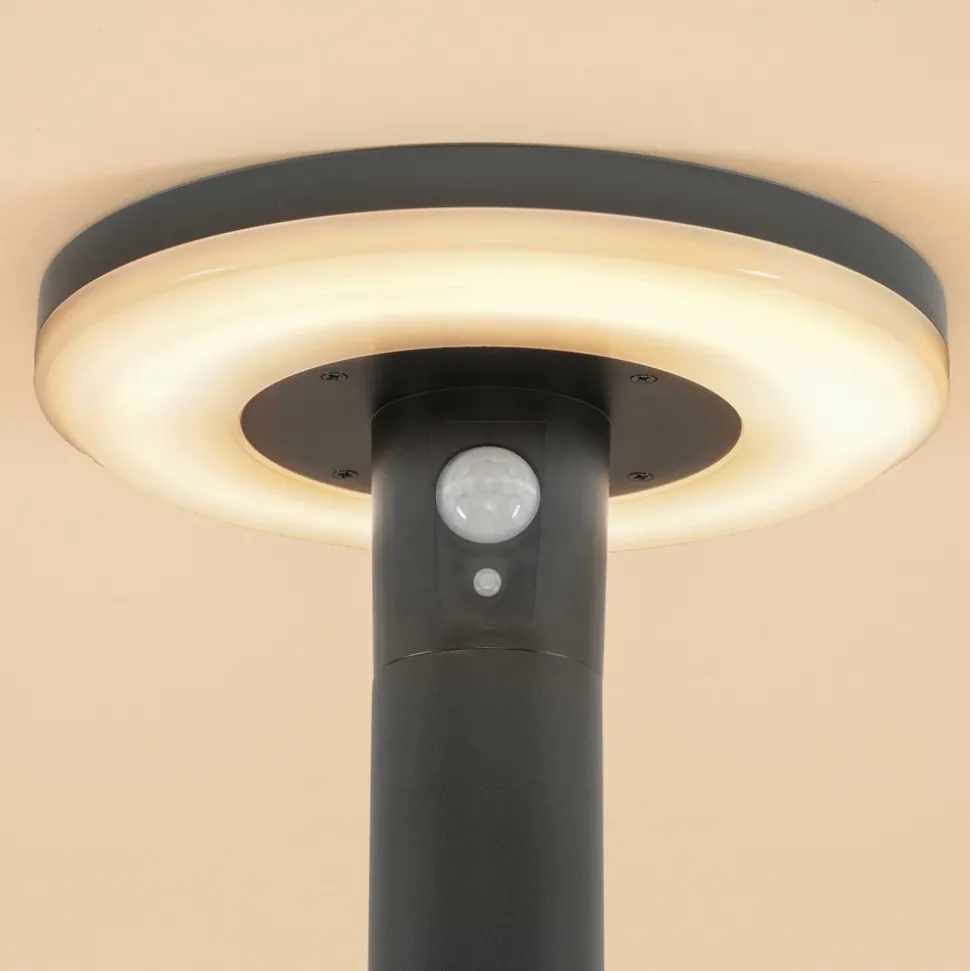 ESOTEC - Esotec lampe solaire pour l'extérieur arezzo pir lifepo4-accu résistant aux intempéries metal 102742