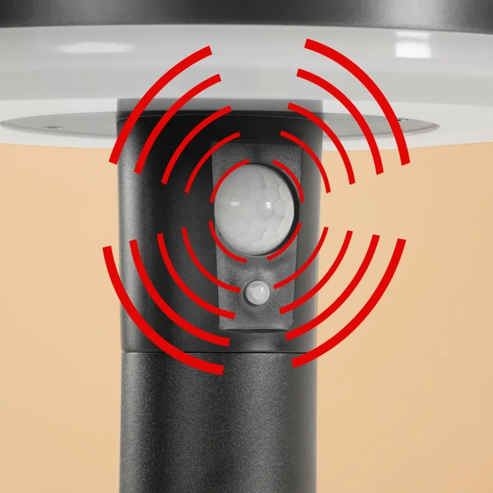 ESOTEC - Esotec lampe solaire pour l'extérieur arezzo pir lifepo4-accu résistant aux intempéries metal 102742