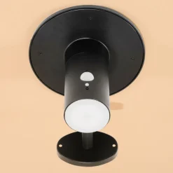 ESOTEC - Esotec solar applique murale pour l'extérieur bologna pir batterie metal 3 modes d'éclairage 102750