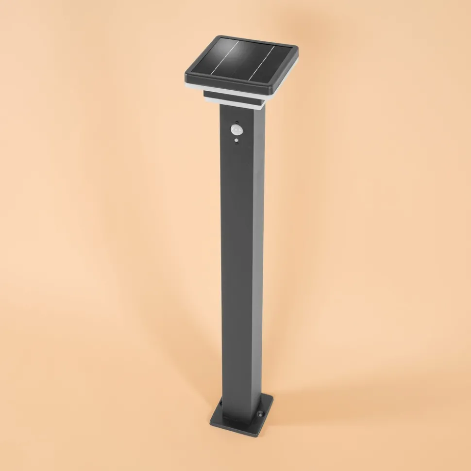 ESOTEC - Esotec solar lampe sur pied lucca 86 cm avec capteur pir noir ip44 outdoor 102763