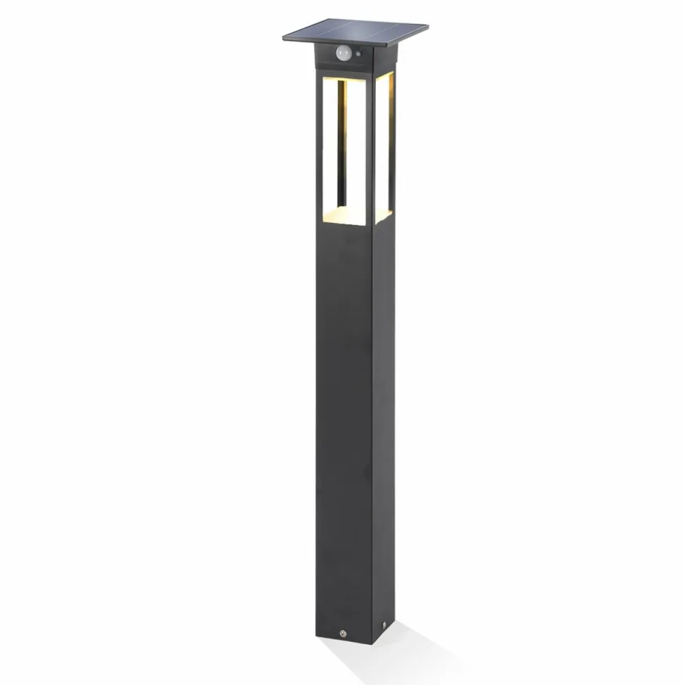 ESOTEC - Esotec solar lampe à détecteur sur pied tarano 84 cm noir résistant aux intempéries ip44 102745