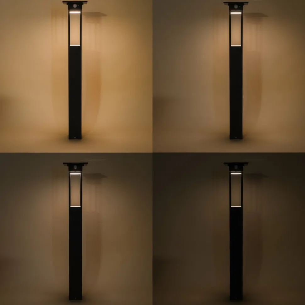 ESOTEC - Esotec solar lampe à détecteur sur pied tarano 84 cm noir résistant aux intempéries ip44 102745