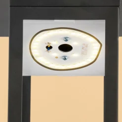 ESOTEC - Esotec solar lampe à détecteur sur pied tarano 84 cm noir résistant aux intempéries ip44 102745