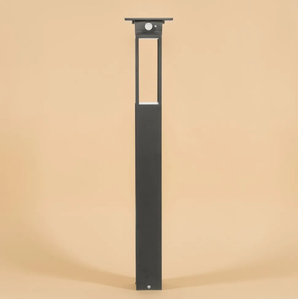 ESOTEC - Esotec solar lampe à détecteur sur pied tarano 84 cm noir résistant aux intempéries ip44 102745